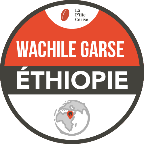 ETHIOPIE Wachile Garse NATURE